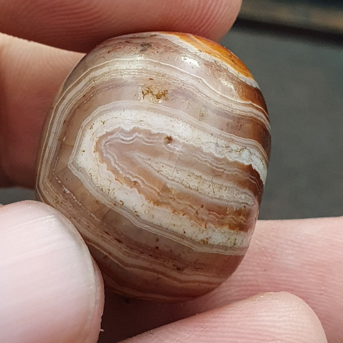 古董古代喜馬拉雅西藏紅瑪瑙石珠護身符 MDi 1