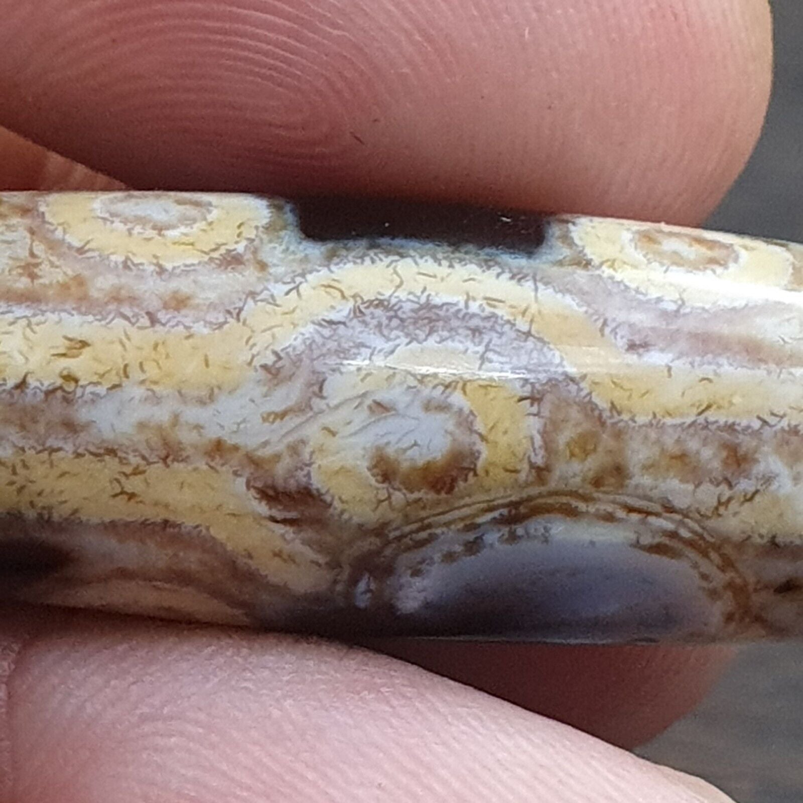 Tibetan Agate Eyes stone Dzi Bead Amulet