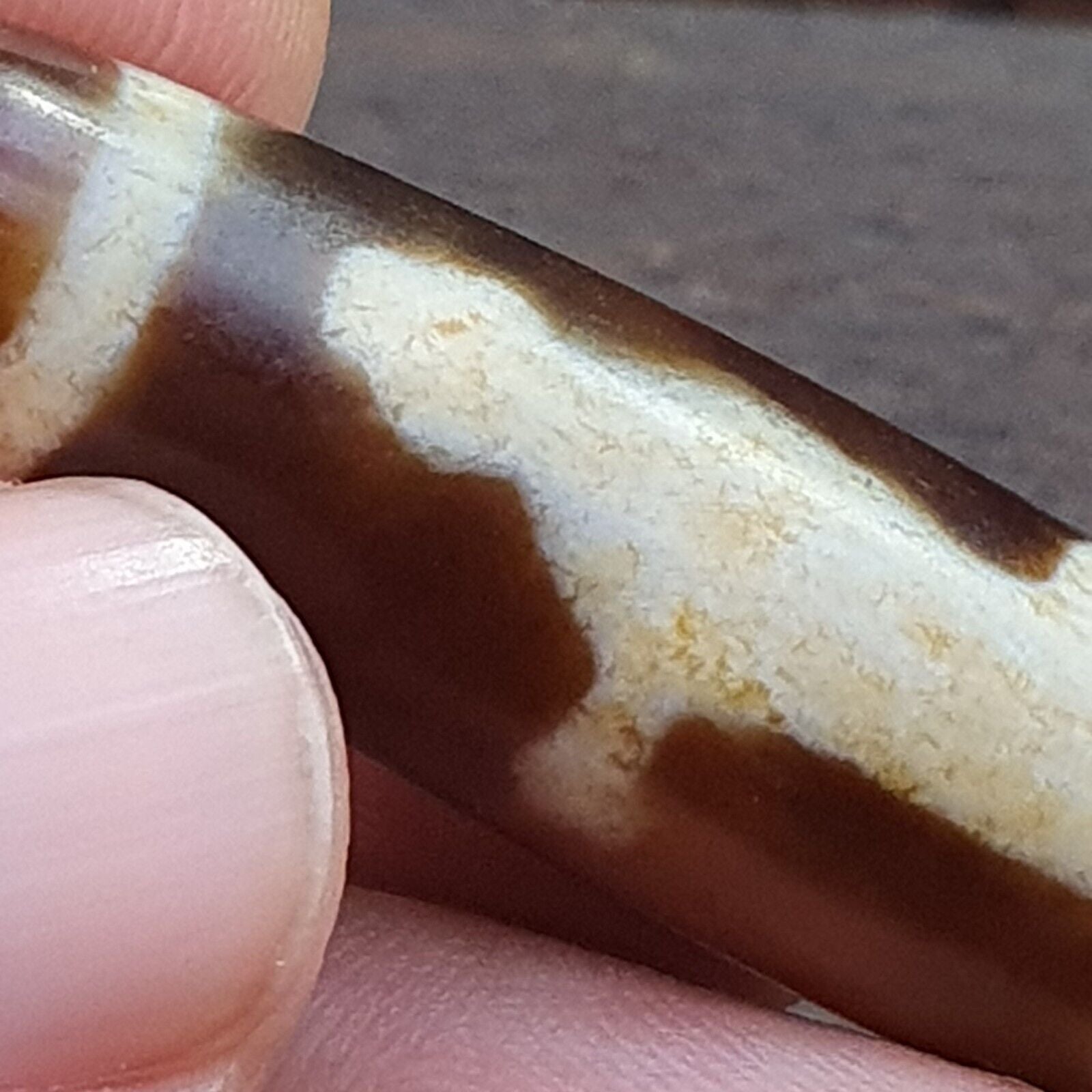 Tibetan Agate stone Dzi Bead Amulet
