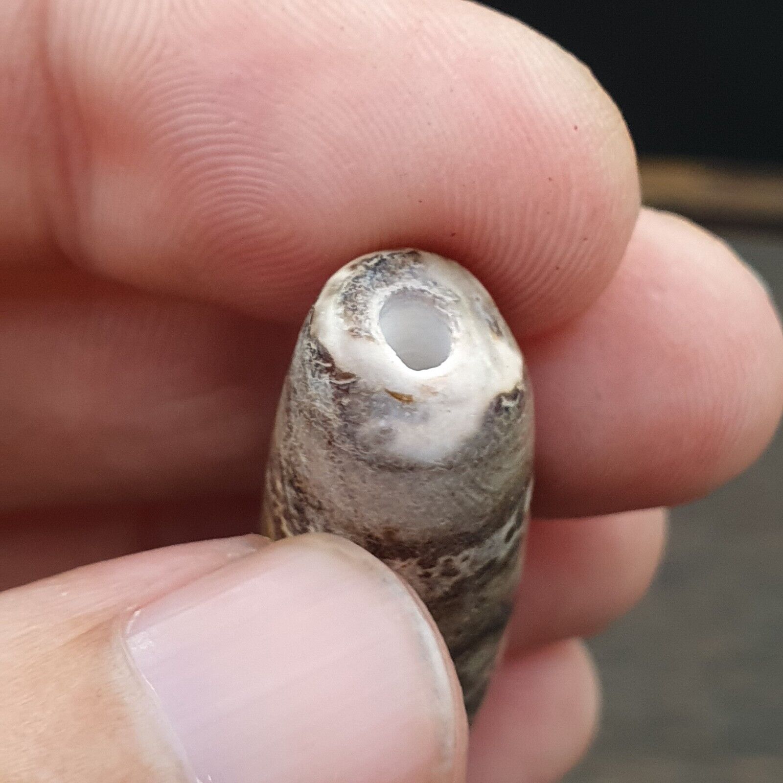 Vintage Old Tibetan 2 Eyes Agate stone Dzi Bead Amulet S-7