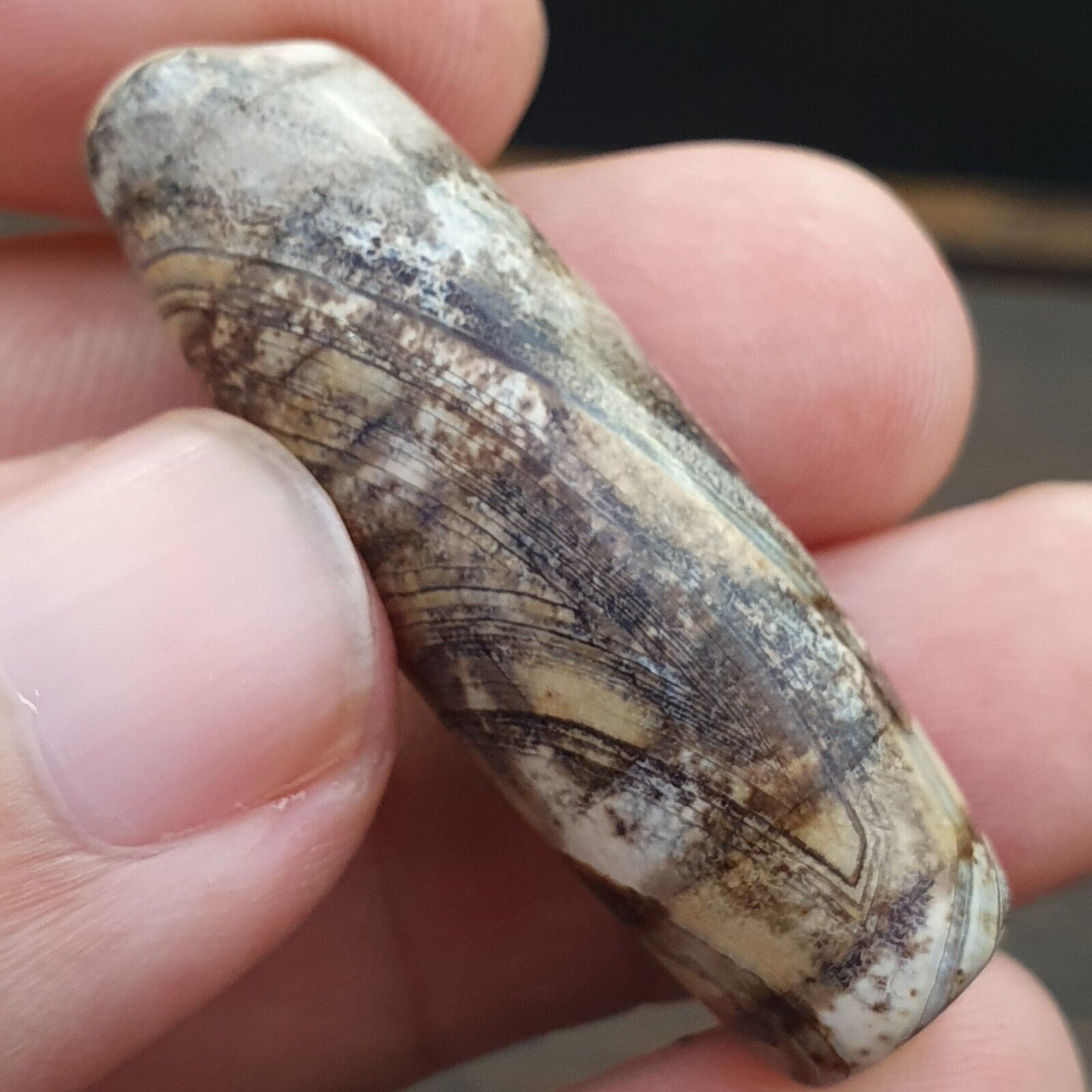 Vintage Old Tibetan 2 Eyes Agate stone Dzi Bead Amulet S-7