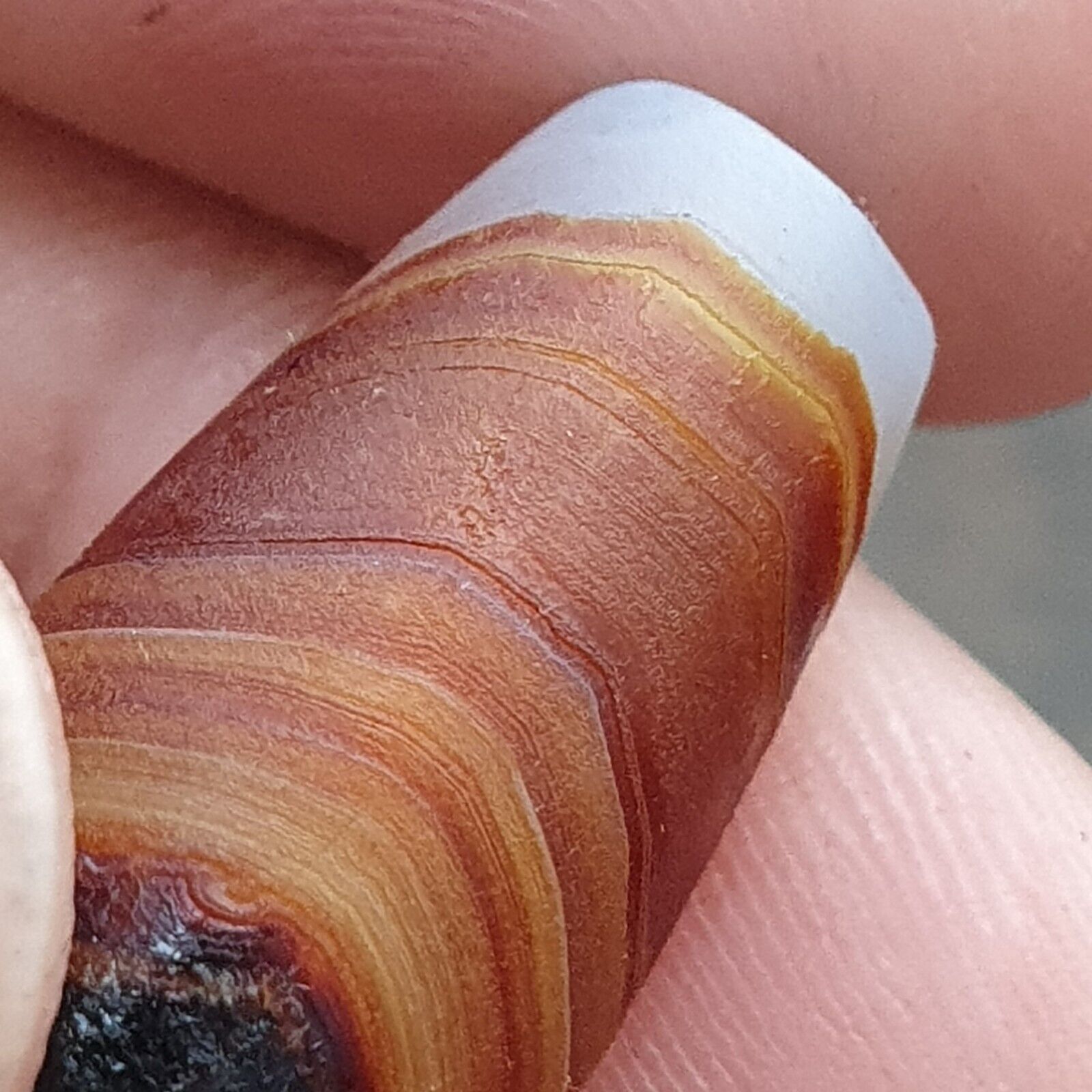 Antique Old Middle Eastern Persian Agate Natural Eye Agate Bead AMD-10