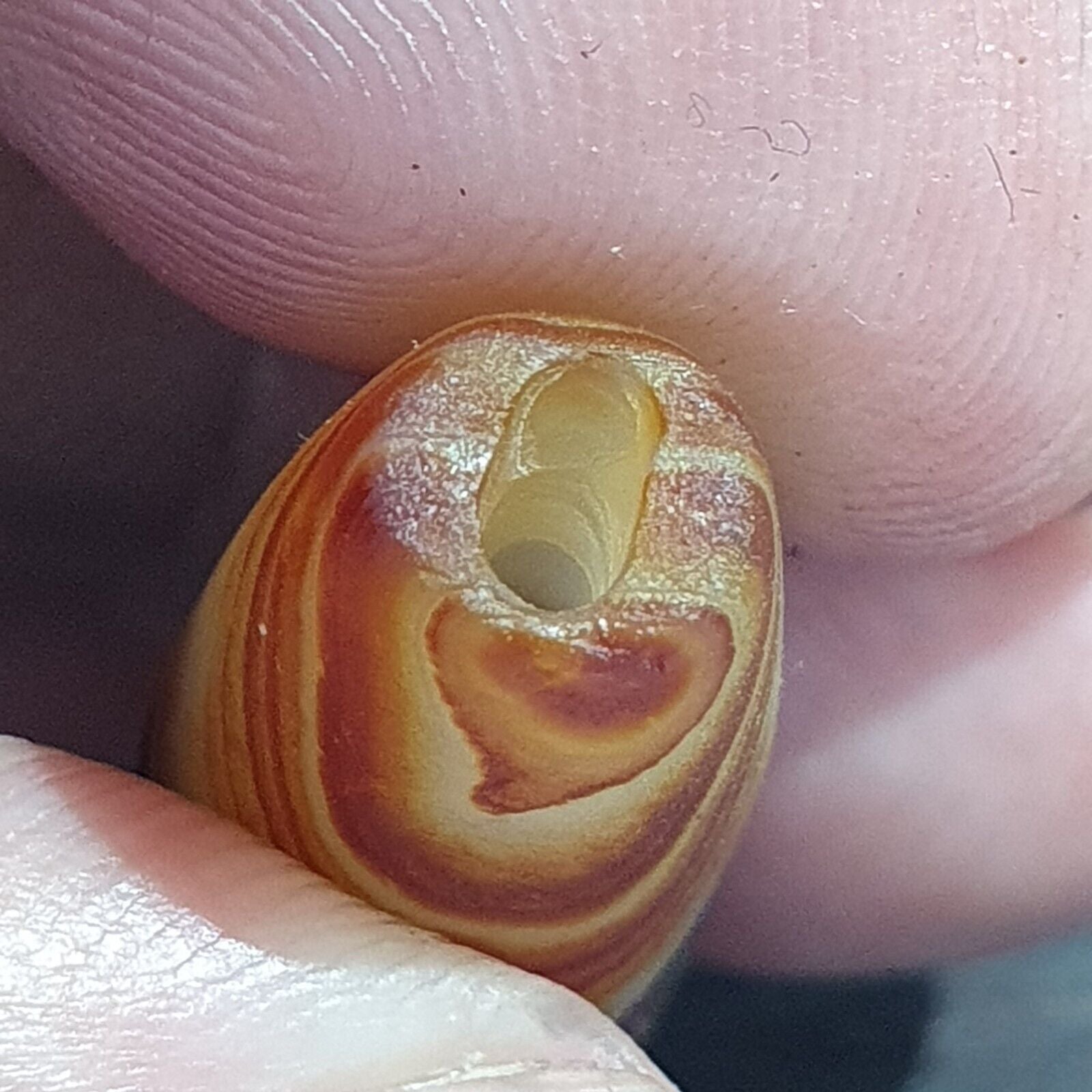 Antique Old Yemeni Eye Agate Middle Eastern Yellow Agate Bead AMD-33