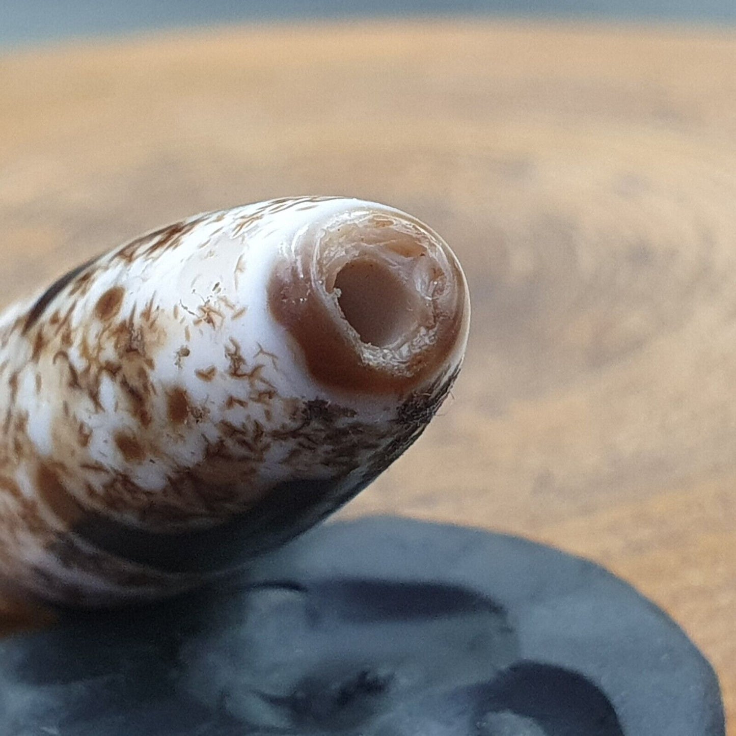 Seltenes Sammlerstück aus tibetischem Achatstein mit verrosteten Augen, Dzi-Perlenamulett BD-25-2 