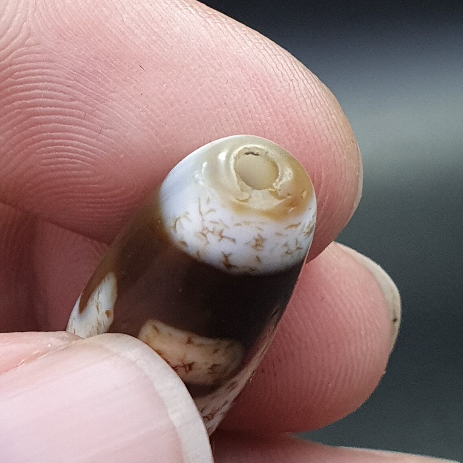 Old Tibetan Eyes Agate stone Dzi Bead Amulet BD-25-5