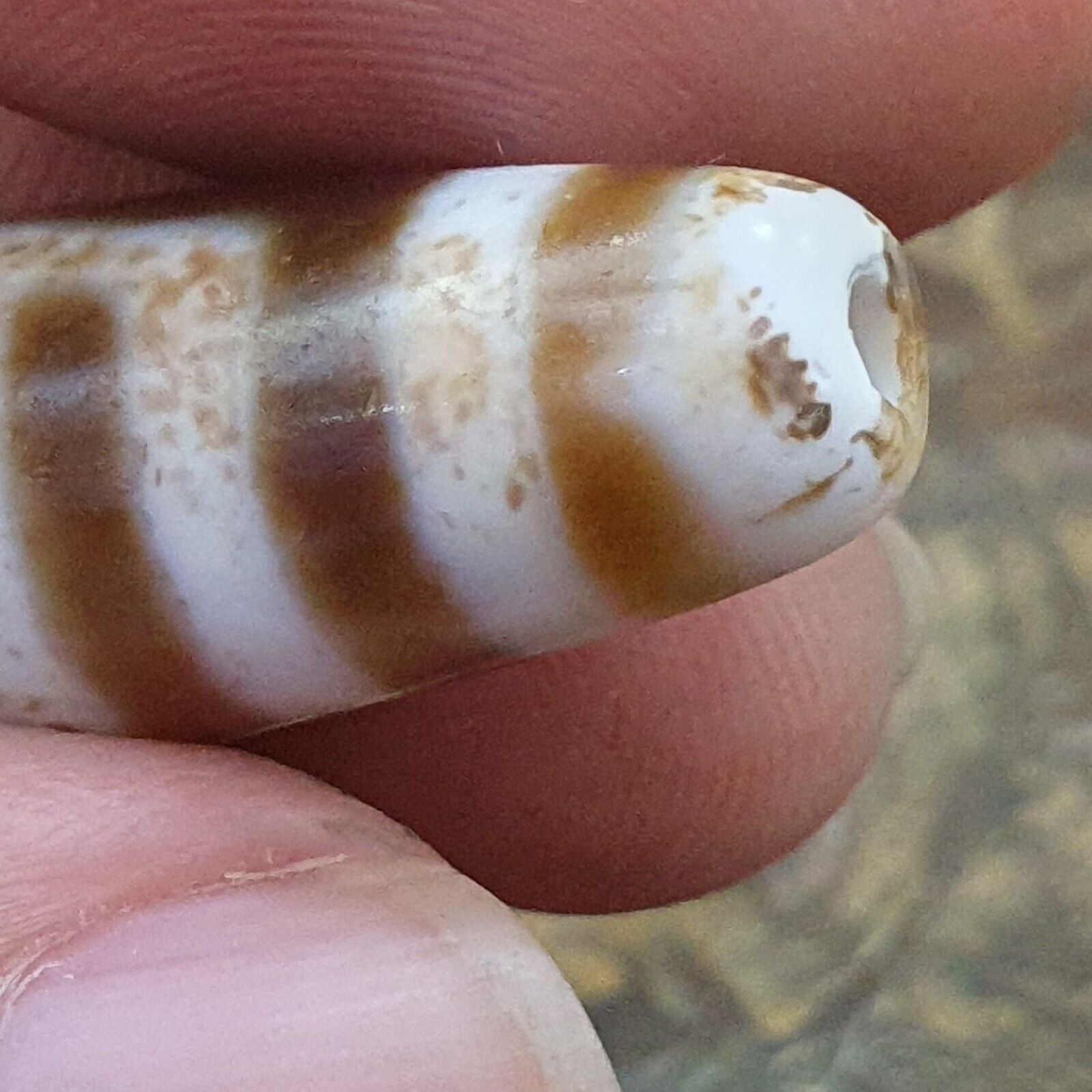 Tibetan 3 Eyes in Eyes Agate stone Dzi Bead Amulet AG-2
