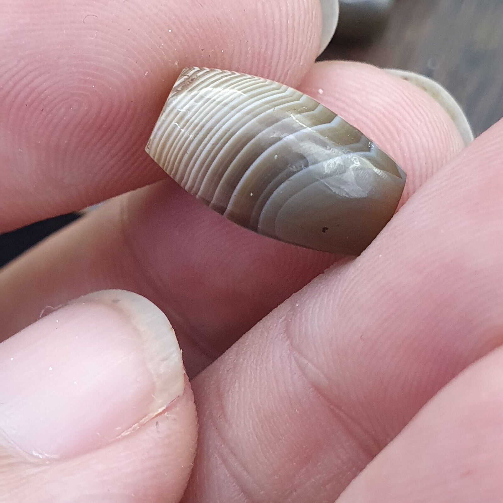 Himalayan Tibetan Agate Old Agate Beads Lot 12 pieces