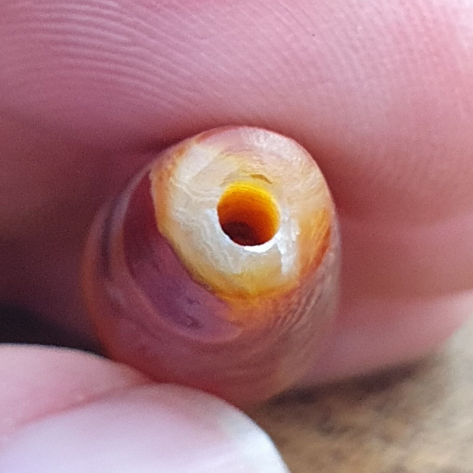 Antique Old Yemeni crystal in Agate Middle Eastern red Agate Bead AMD-45