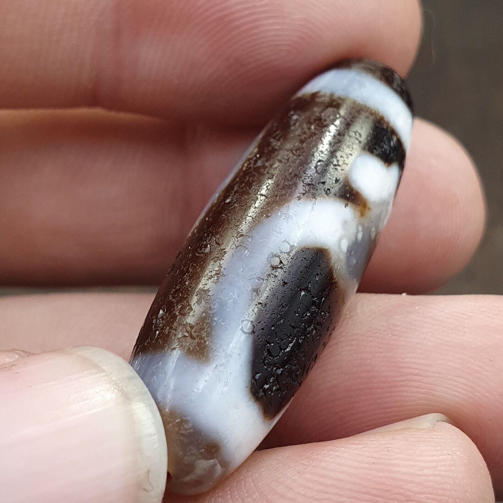 Agate Himalaya Tibetan Double Tasso Dzi Bead Amulet