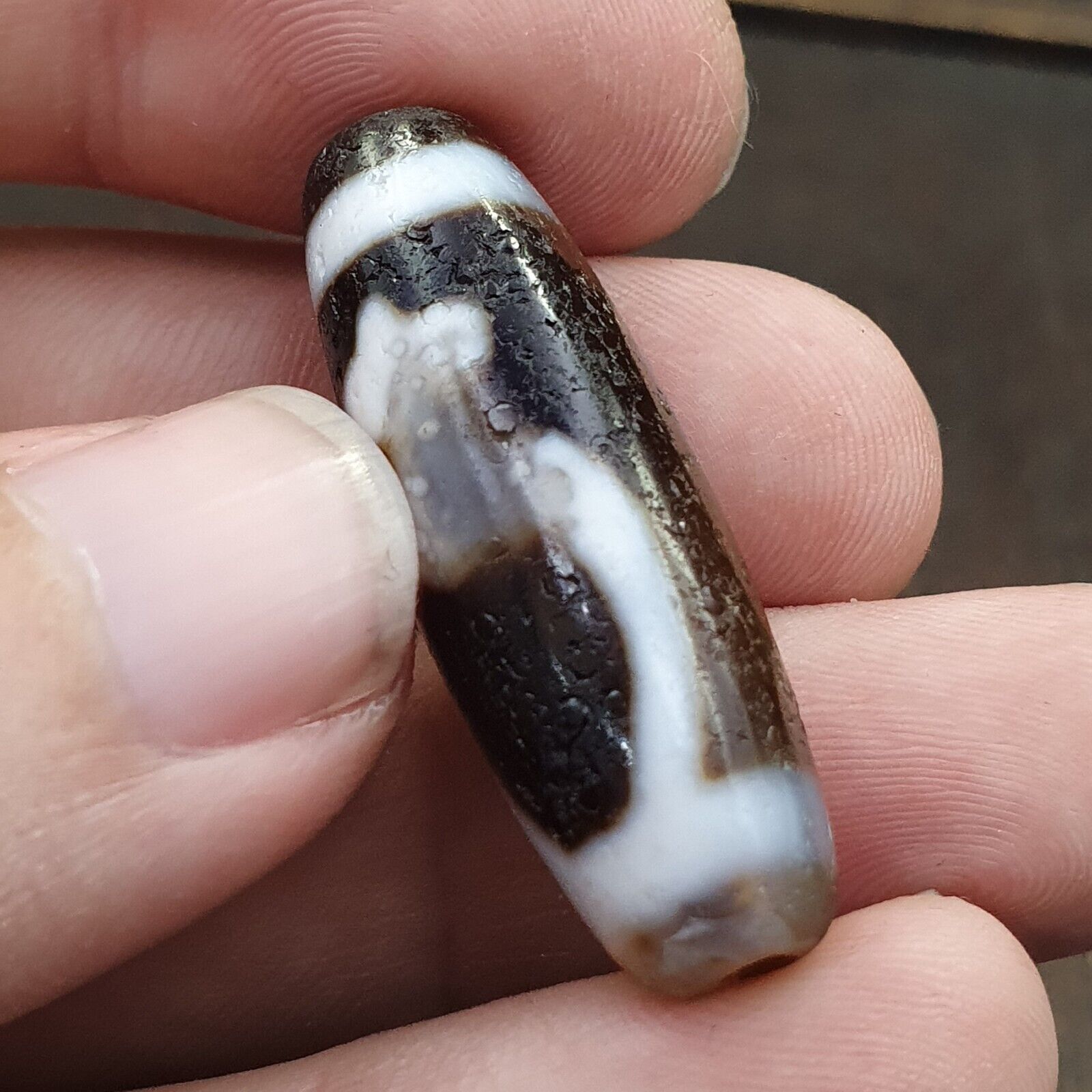 Agate Himalaya Tibetan Double Tasso Dzi Bead Amulet