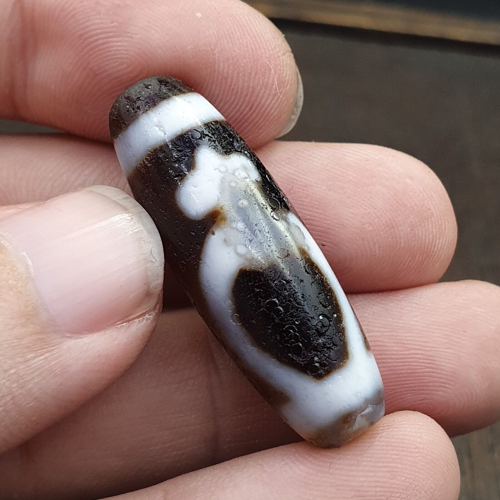 Agate Himalaya Tibetan Double Tasso Dzi Bead Amulet