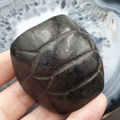 Antique Black Magnetic Stone mysterious animal carving Stone Bead Amulet MG-9-2