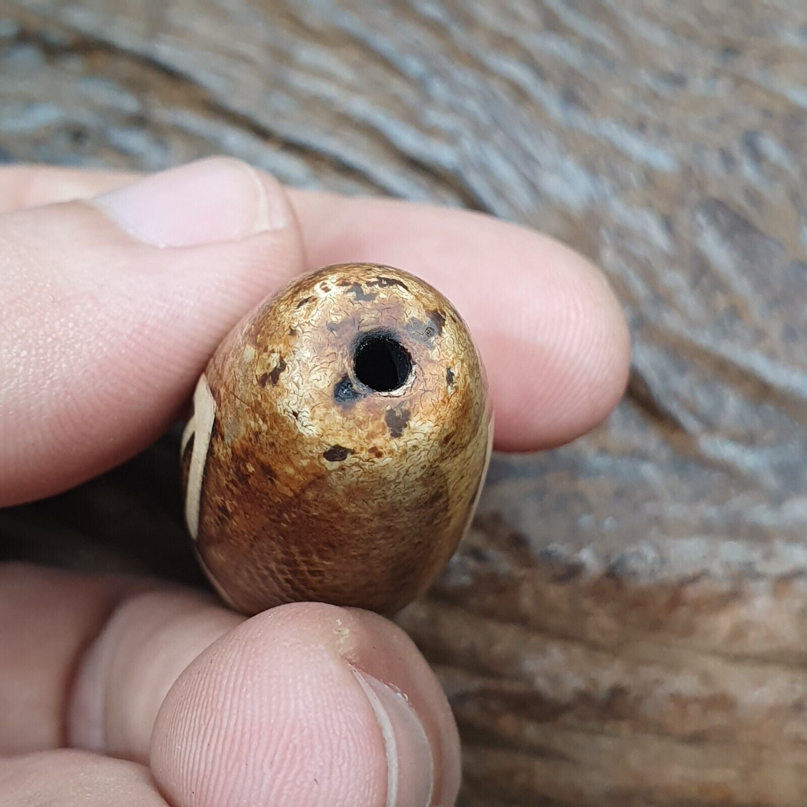 Tibetan Himalayan Jasper Bead Amulet
