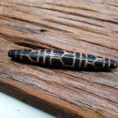 Vintage South Asian Burma Old Pumtek pyu beads petrified Wood Stone bead