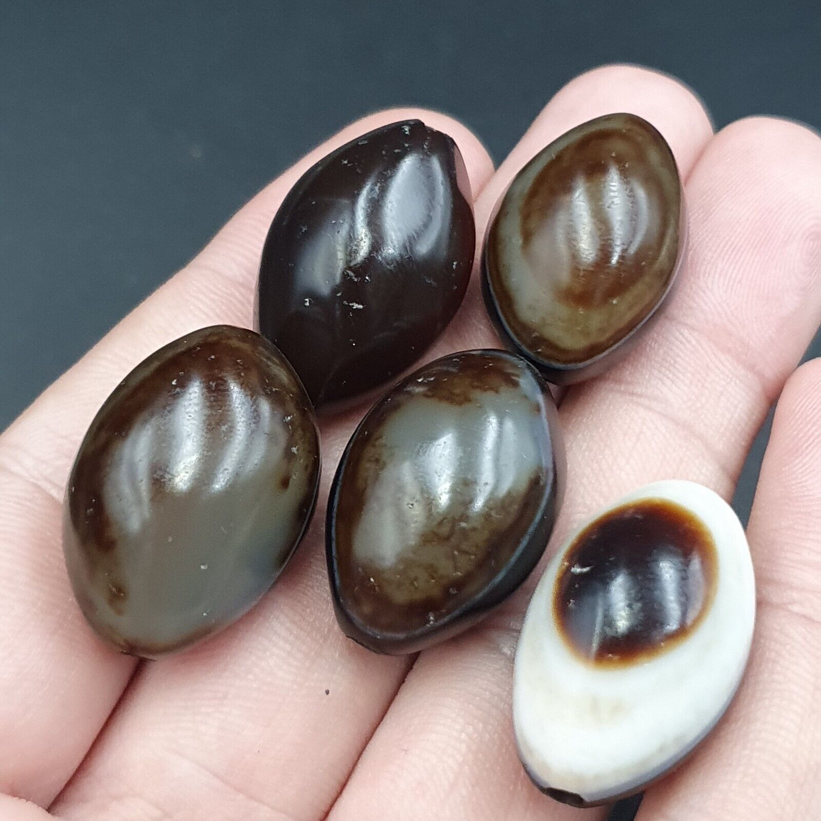 5 Beads lot INDO Himalaya Goat Eye Agate stone Bead Suleimani Agate Amulets