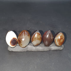 5 Beads lot INDO Himalaya Goat Eye Agate stone Bead Suleimani Agate Amulets