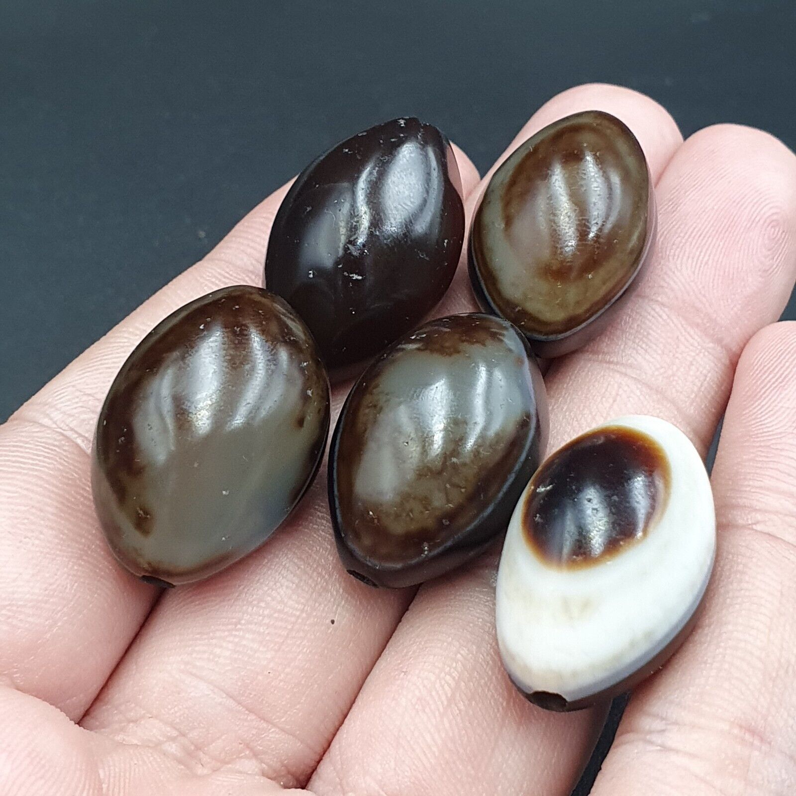 5 Beads lot INDO Himalaya Goat Eye Agate stone Bead Suleimani Agate Amulets
