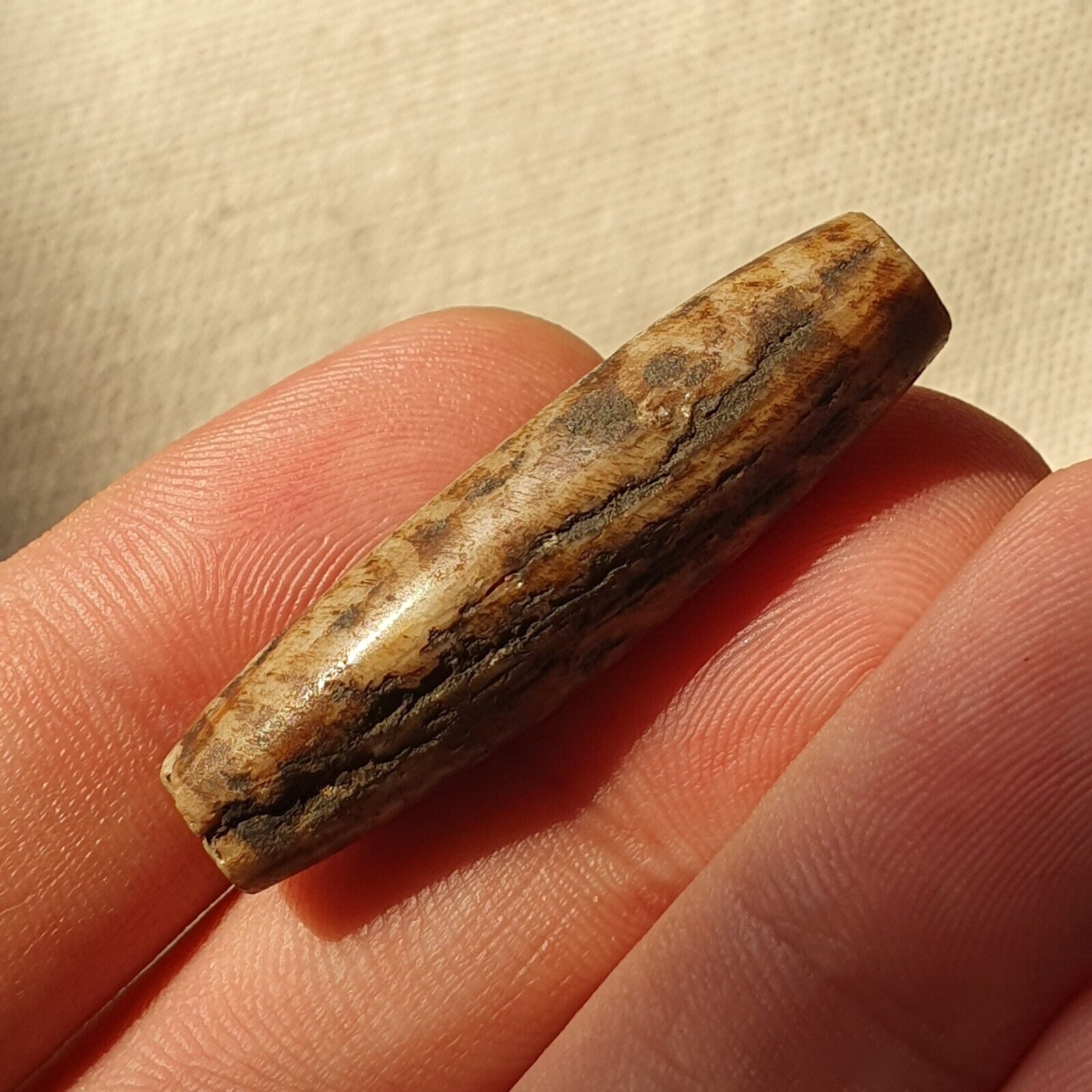 Asian Burmese Antique Pumtek petrified Wood Stone bead