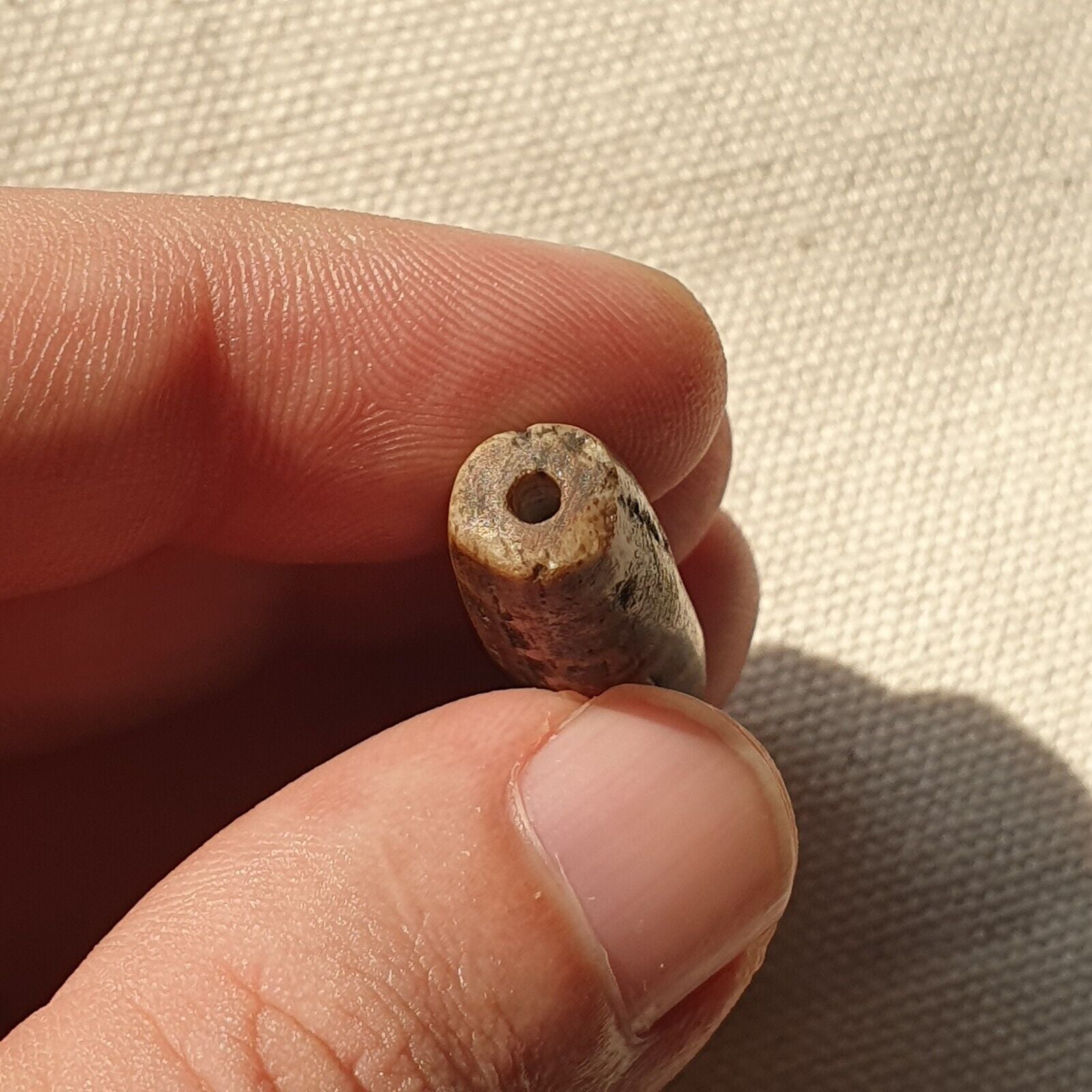 Asian Burmese Antique Pumtek petrified Wood Stone bead
