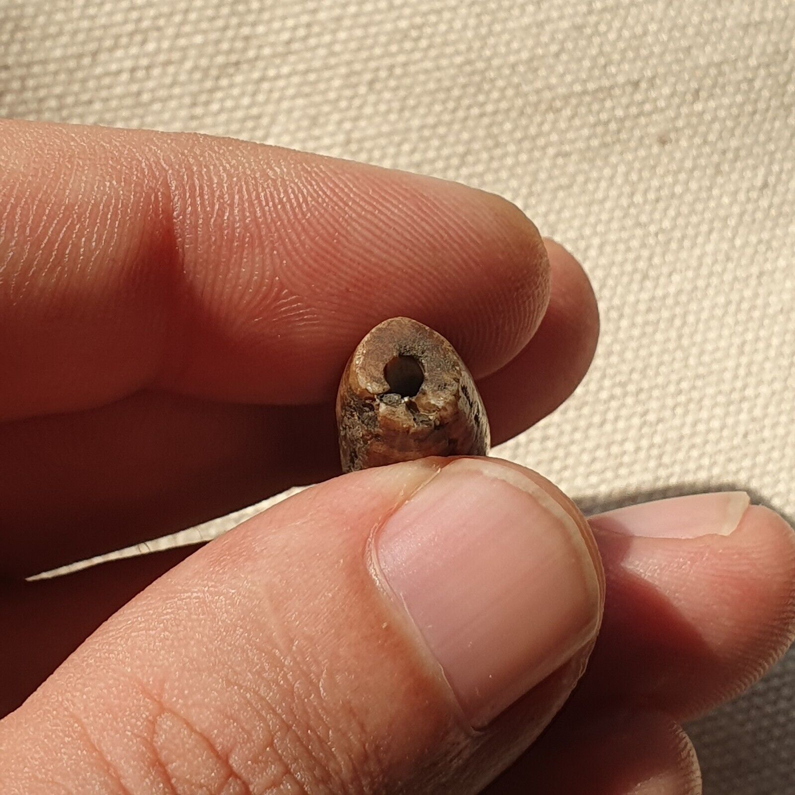 Asian Burmese Antique Pumtek petrified Wood Stone bead