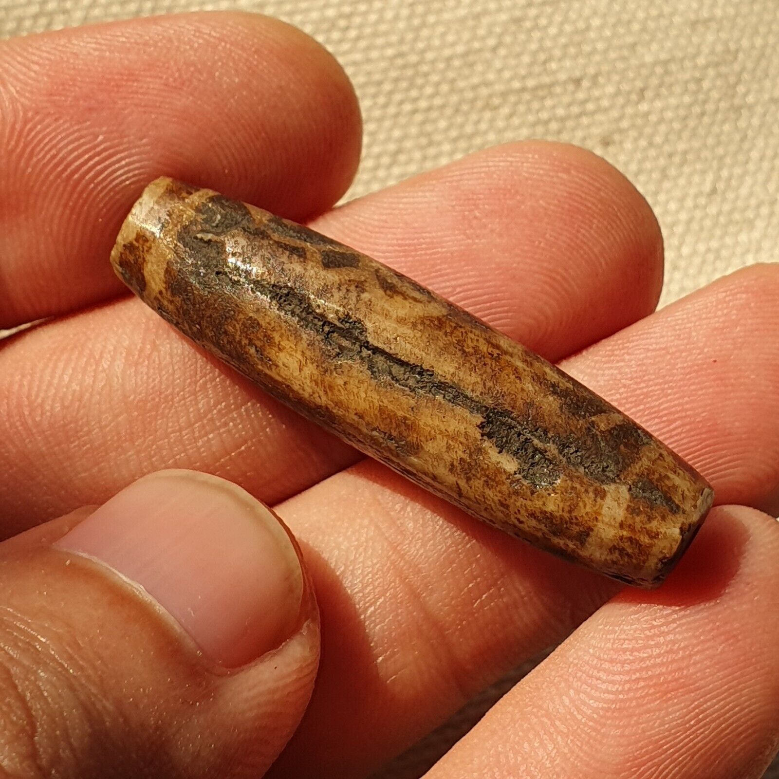 Asian Burmese Antique Pumtek petrified Wood Stone bead