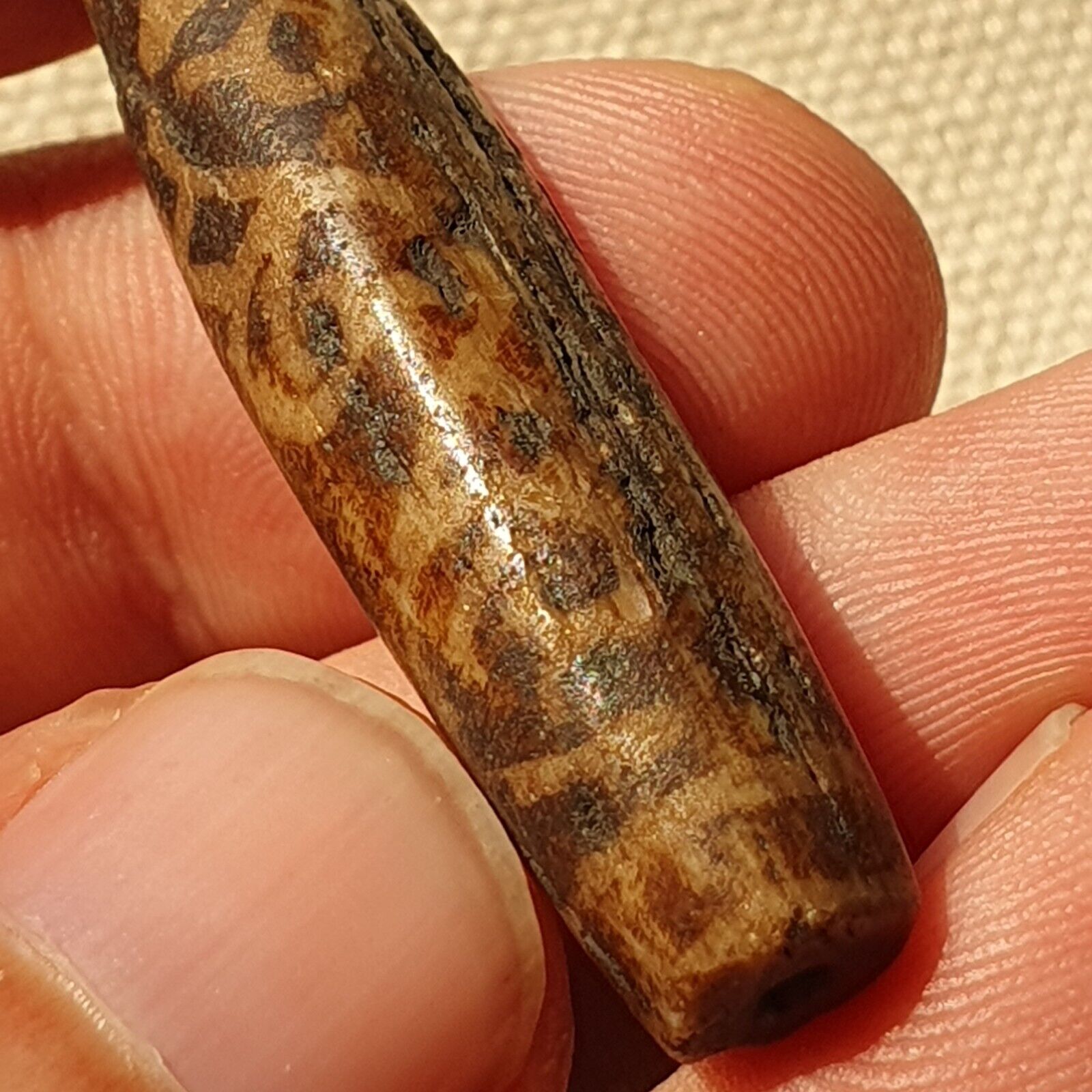 Asian Burmese Antique Pumtek petrified Wood Stone bead
