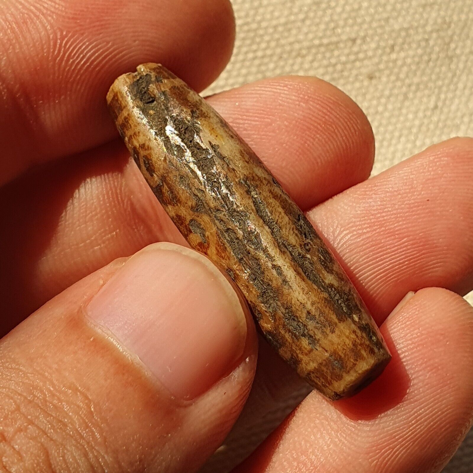 Asian Burmese Antique Pumtek petrified Wood Stone bead