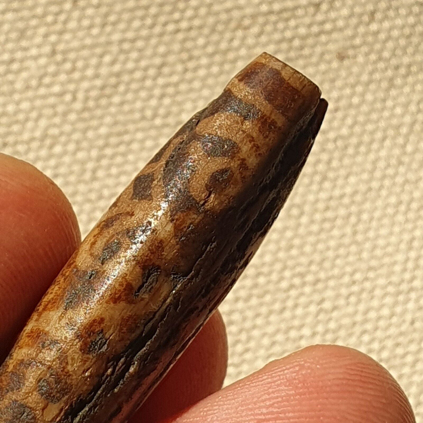 Asian Burmese Antique Pumtek petrified Wood Stone bead