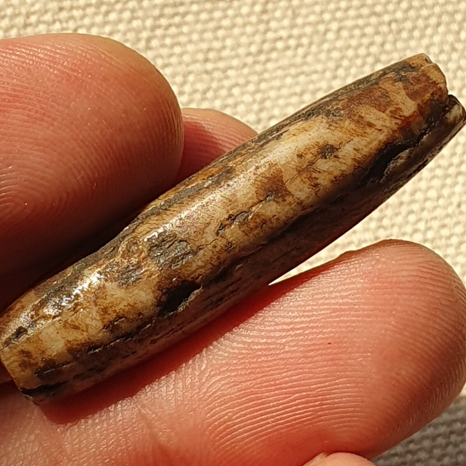 Asian Burmese Antique Pumtek petrified Wood Stone bead