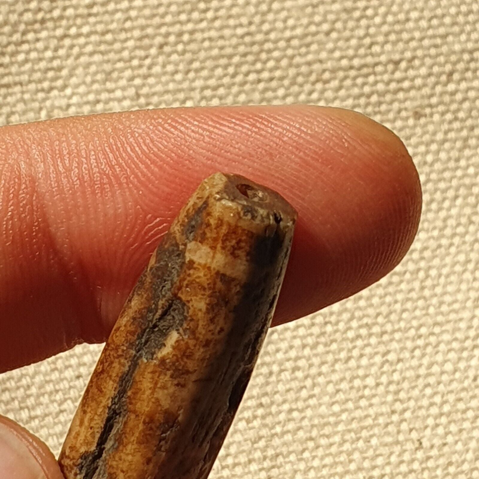 Asian Burmese Antique Pumtek petrified Wood Stone bead