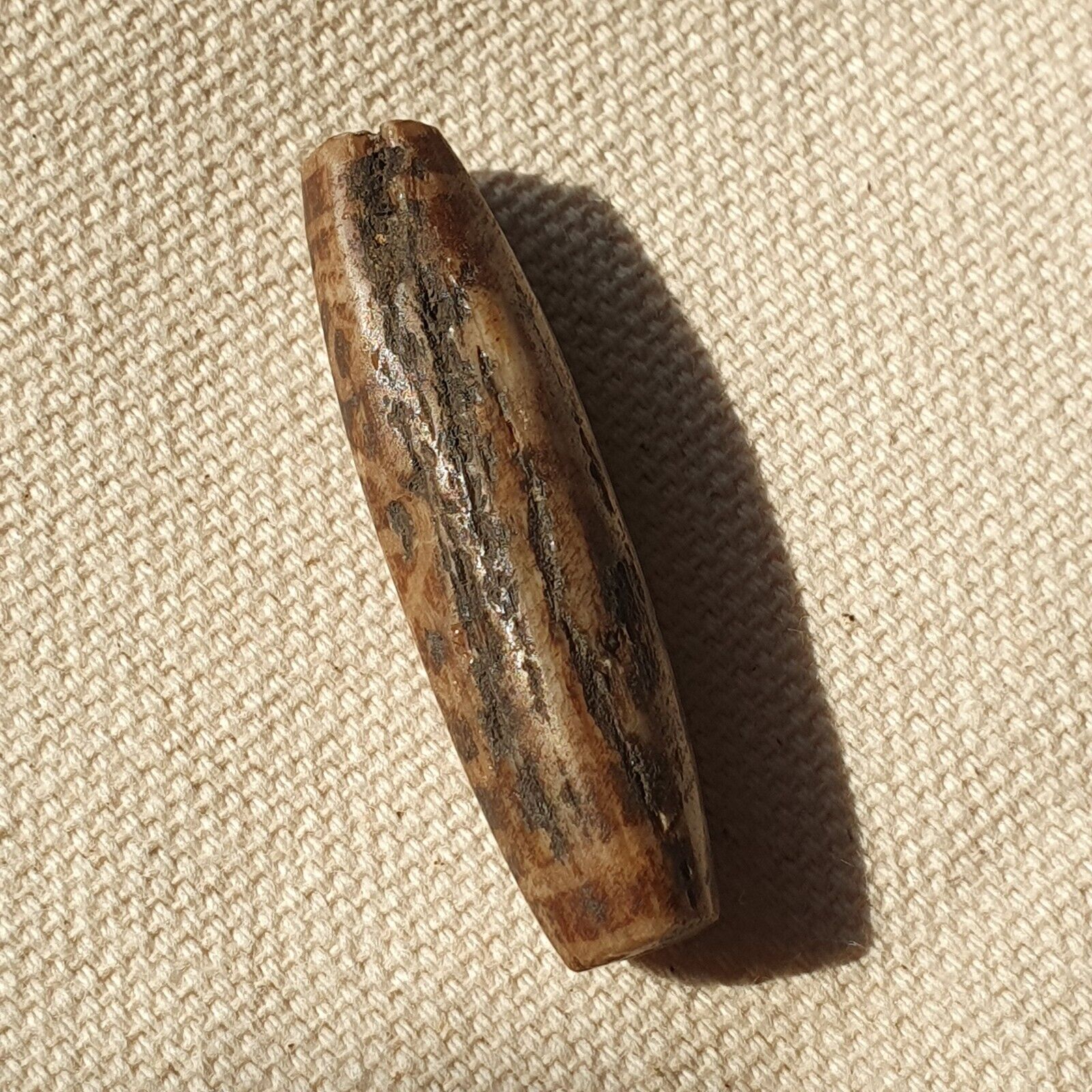 Asian Burmese Antique Pumtek petrified Wood Stone bead