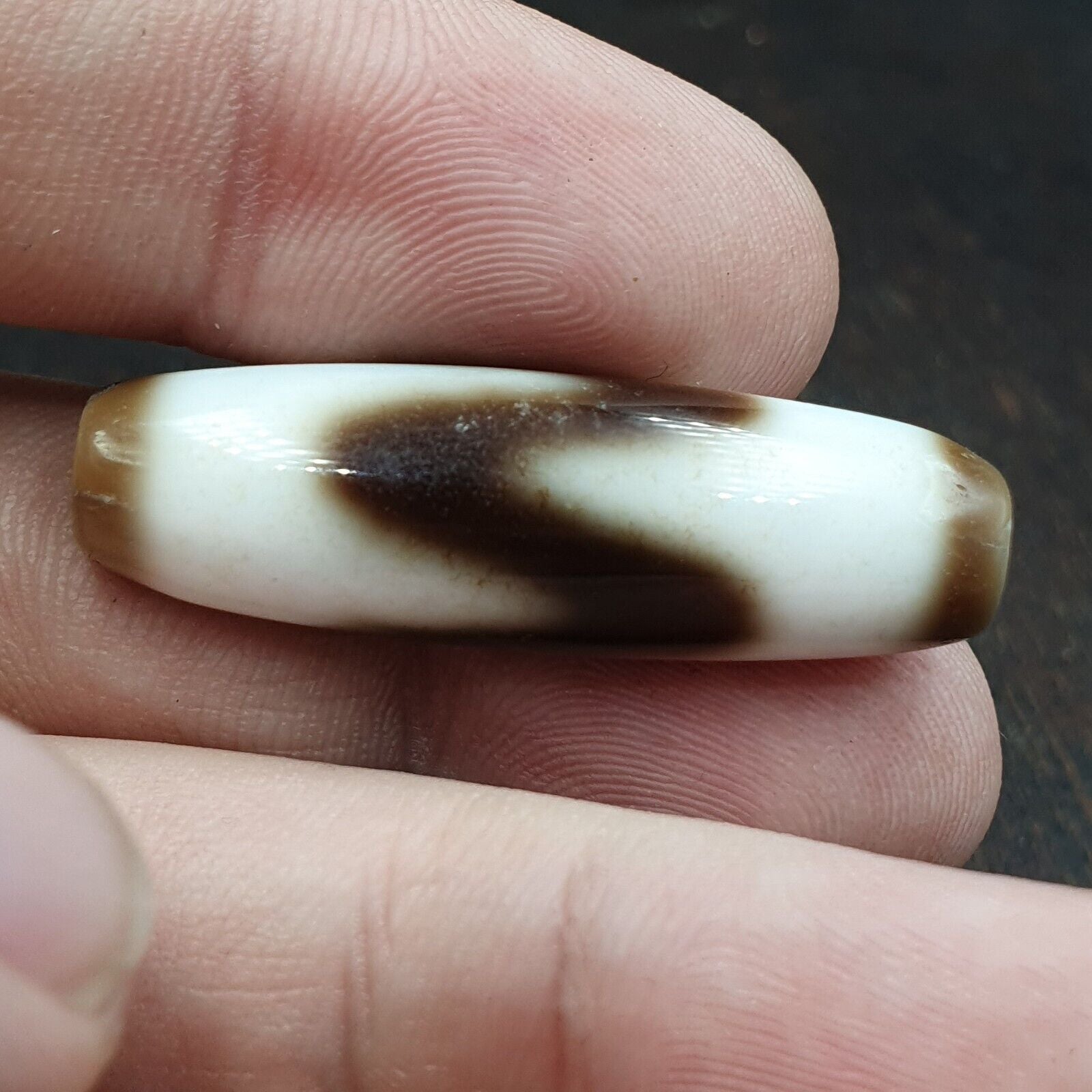 Tigere Teeth totem Tibetan White Agate Dzi Bead Amulet
