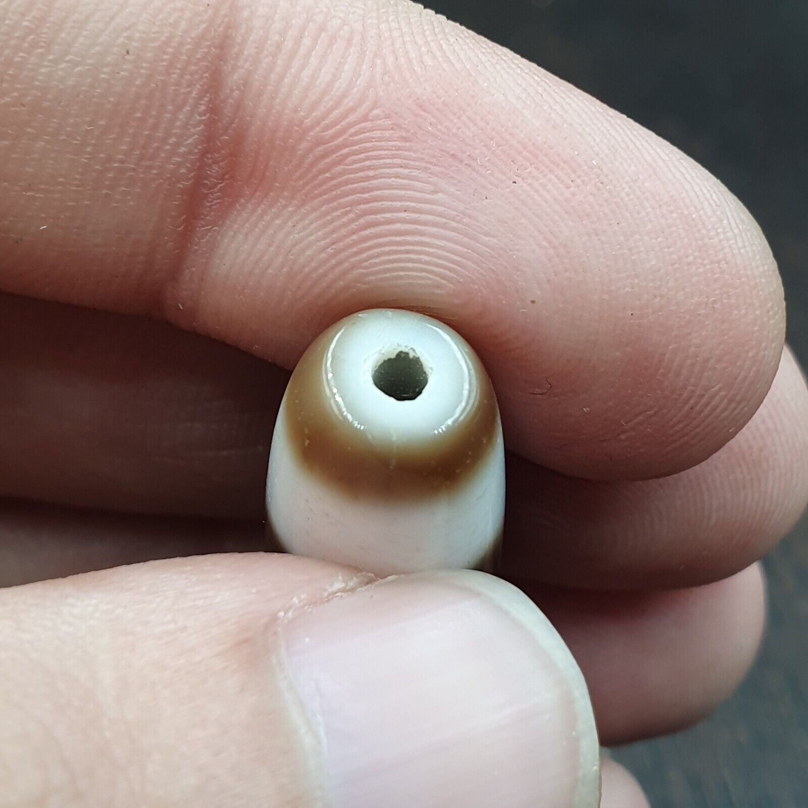 Tigere Teeth totem Tibetan White Agate Dzi Bead Amulet