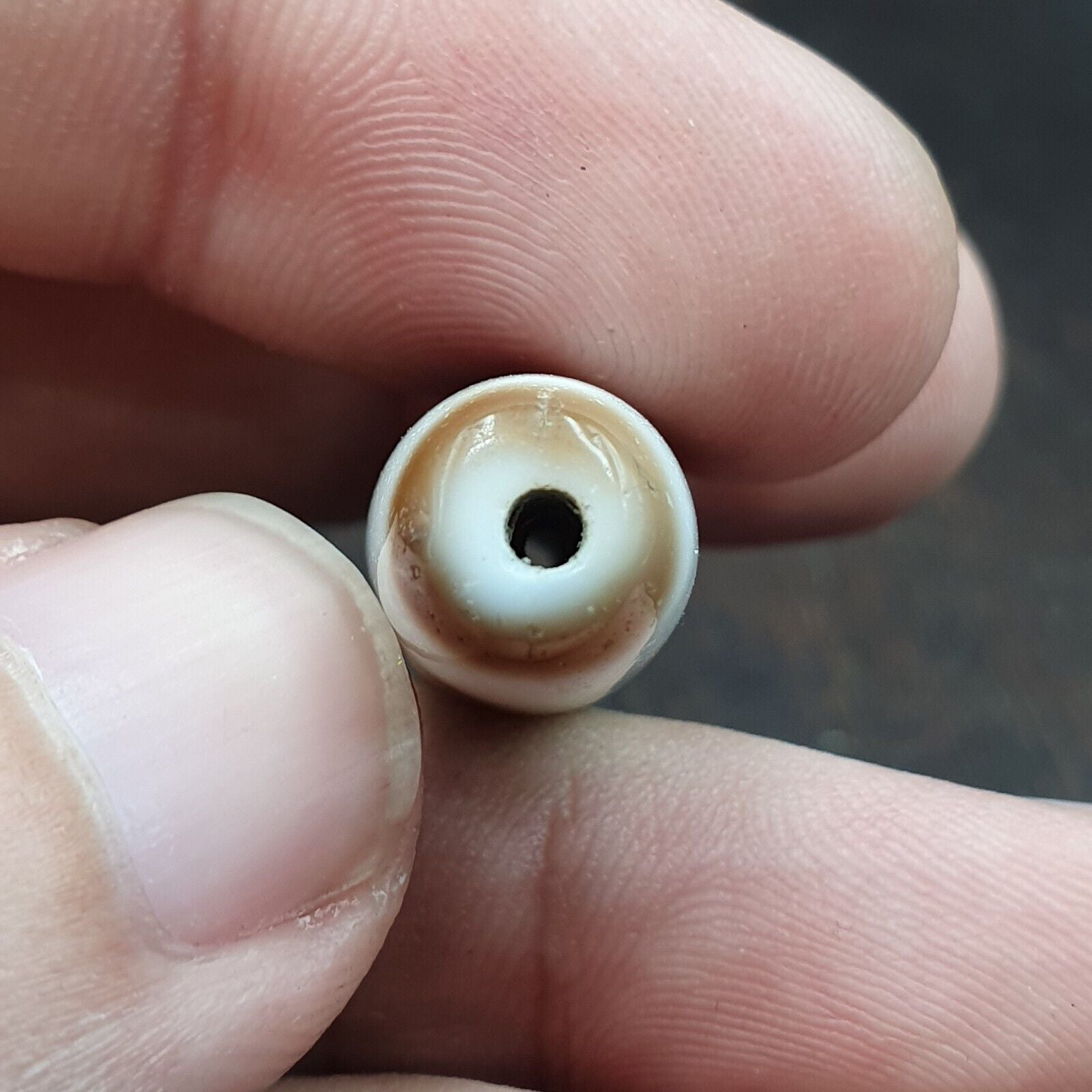 Tigere Teeth totem Tibetan White Agate Dzi Bead Amulet