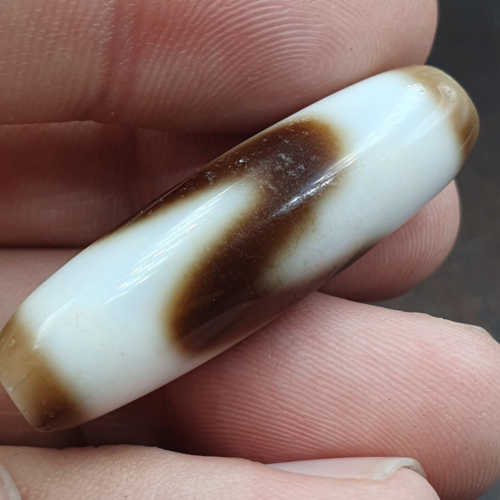 Tigere Teeth totem Tibetan White Agate Dzi Bead Amulet
