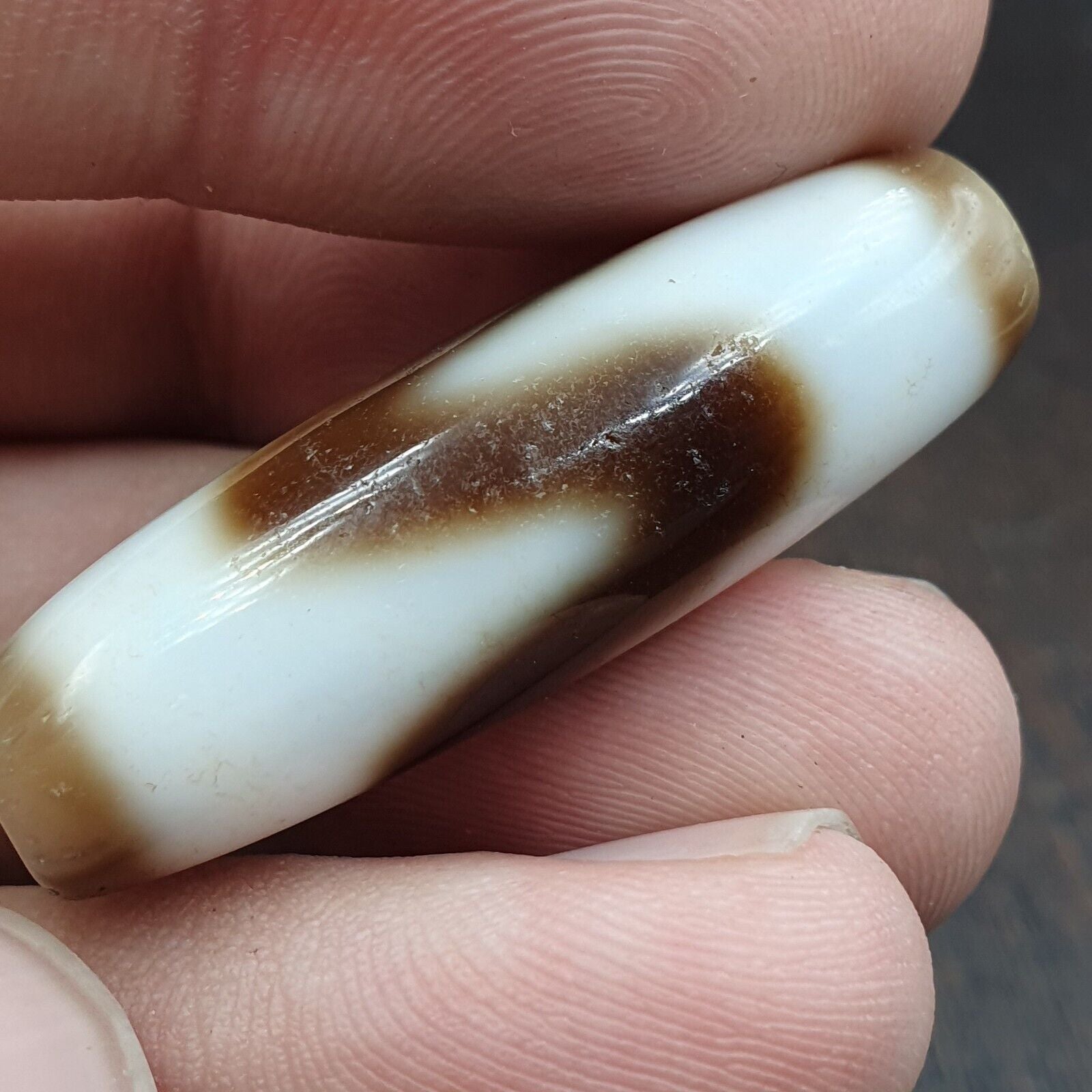 Tigere Teeth totem Tibetan White Agate Dzi Bead Amulet