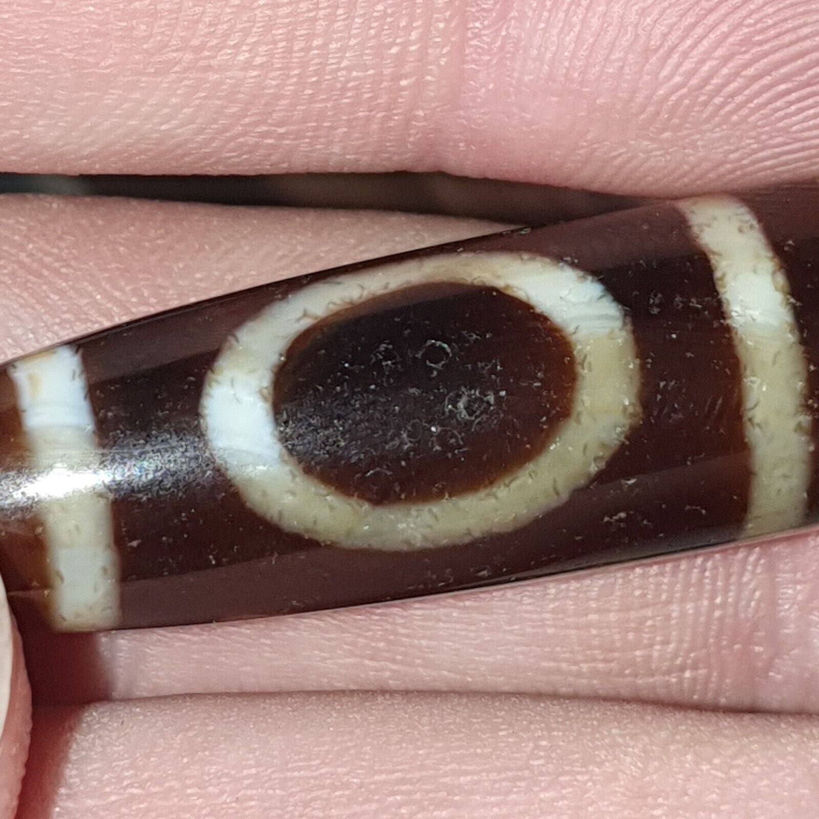 Rare Himalayan Tibetan Dzi Buddha Eye Quad Sakor Amulet Bead