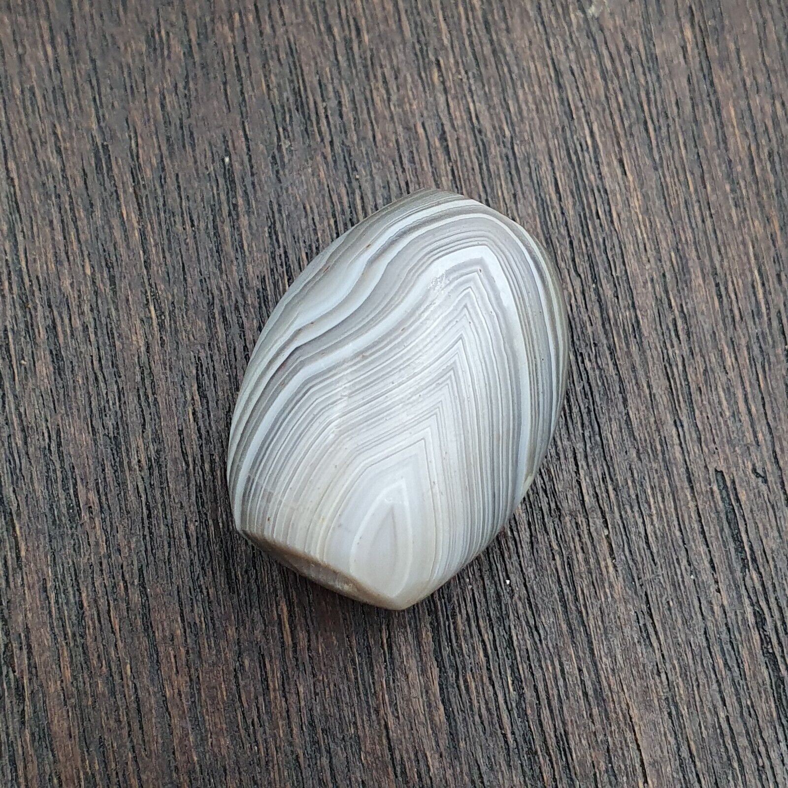 Antique Tibetan Gray Agate Bead: A Rare Gem from the Past 24.8x19.2 mm AGT5