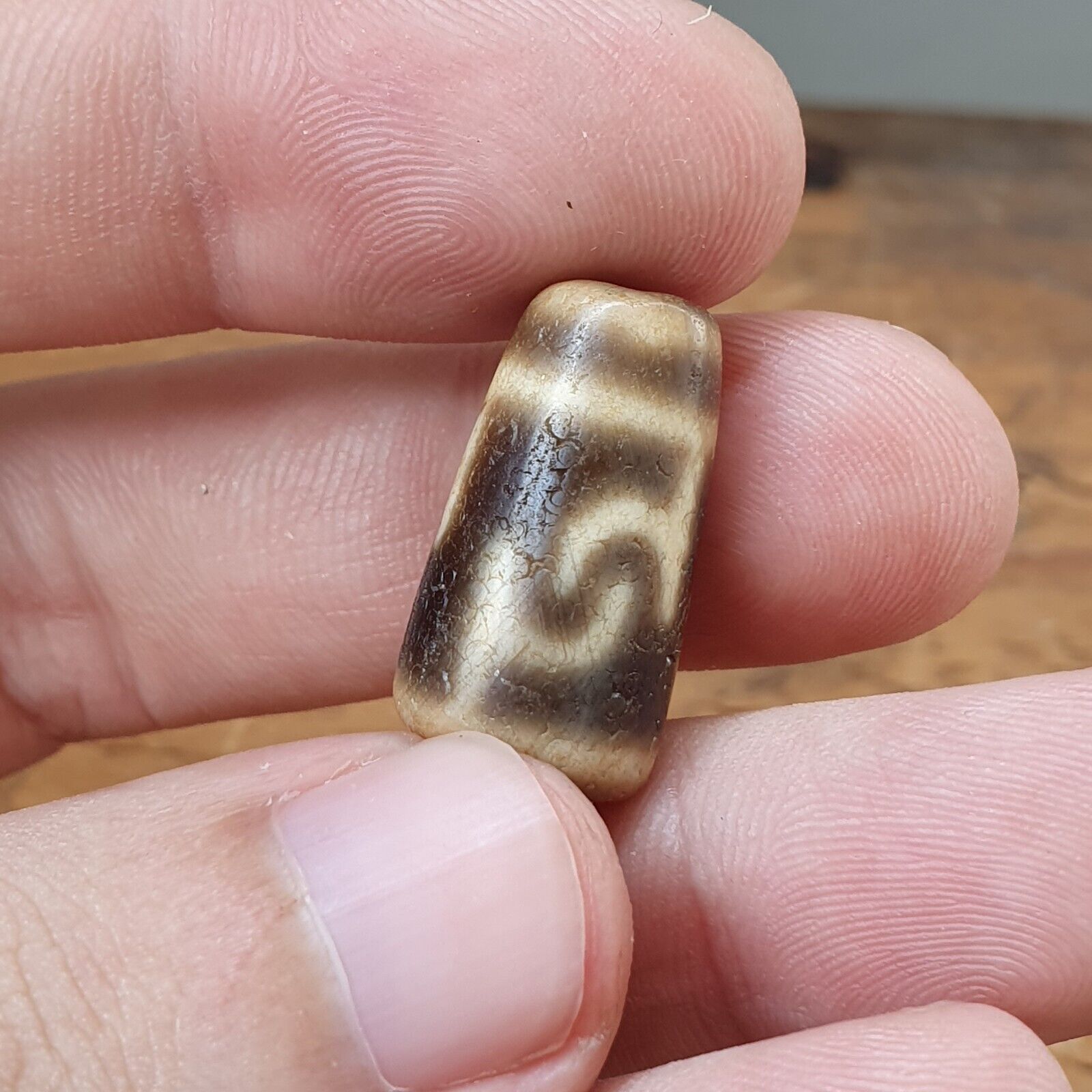 Antique Himalayan Indo Tibetan Agate Dzi Bead Amulet #TBC-4