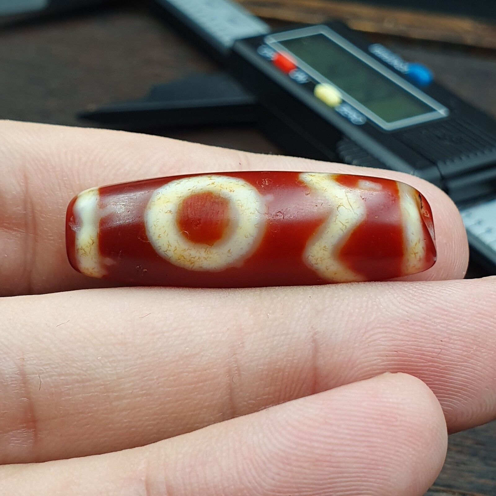 Himalayan Tibetan Carnelian Unique 2 Eyes Red Agate Dzi Amulet Bead C16
