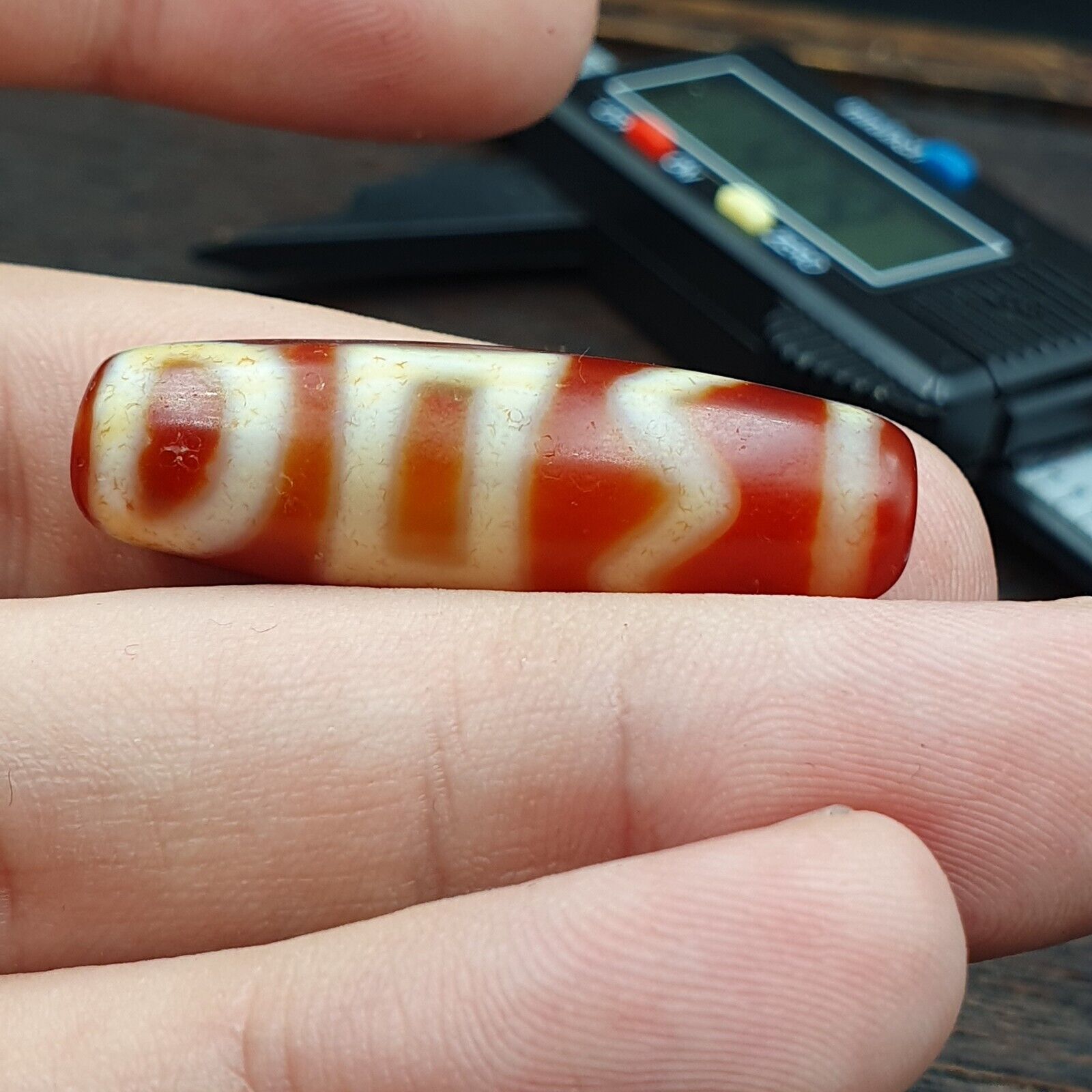 Himalayan Tibetan Carnelian Unique 2 Eyes Red Agate Dzi Amulet Bead C16