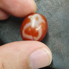 Himalayan Indo Tibetan Red Agate Dzi Amulet Bead