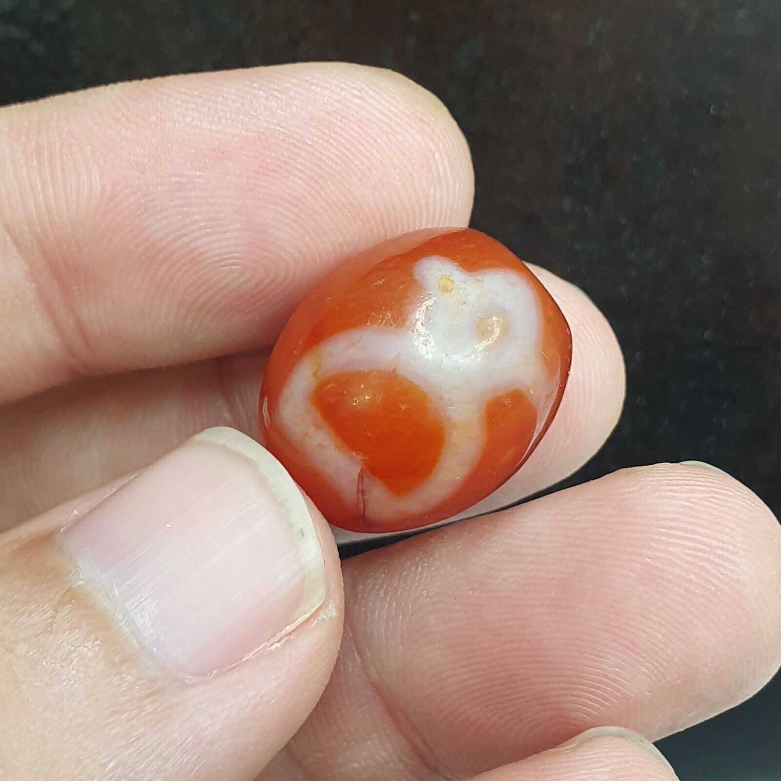 Himalayan Indo Tibetan Red Agate Dzi Amulet Bead