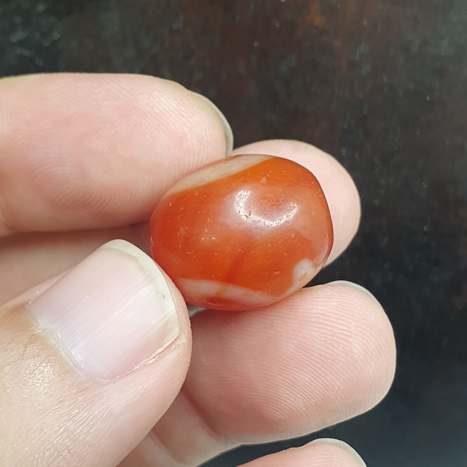 Himalayan Indo Tibetan Red Agate Dzi Amulet Bead